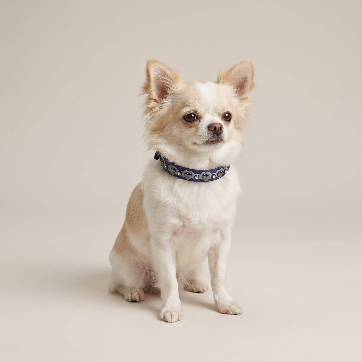 Coleira Personalizada para Cachorro com Corações | Lili