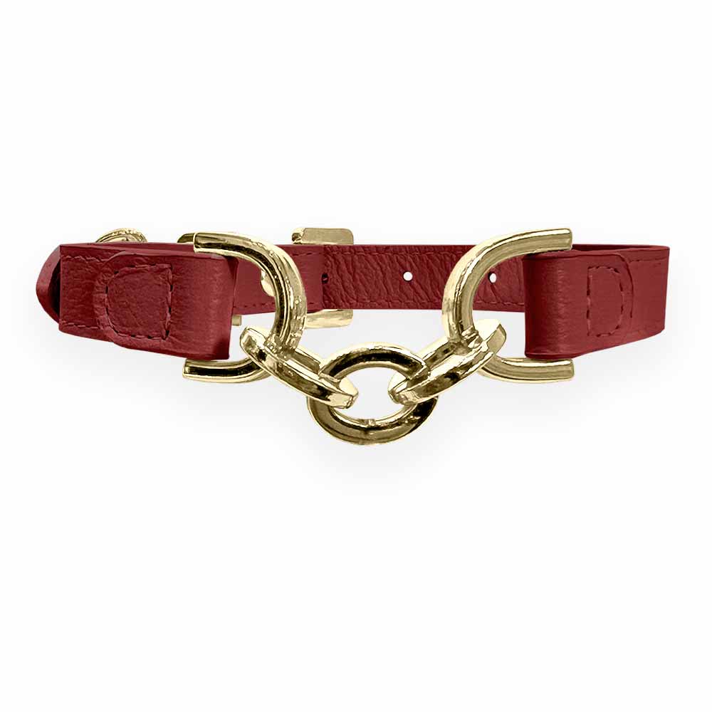 Coleira Personalizada para Cachorro com Corrente | Julie