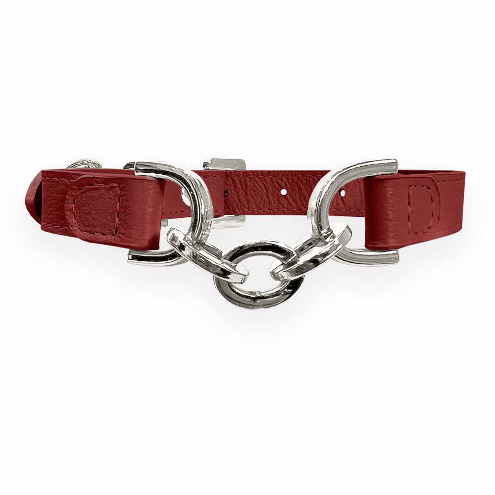 Coleira Personalizada para Cachorro com Corrente | Julie
