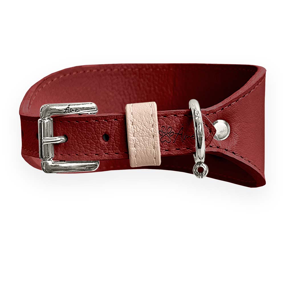 Coleira de Couro para Galgo com Design Anatômico