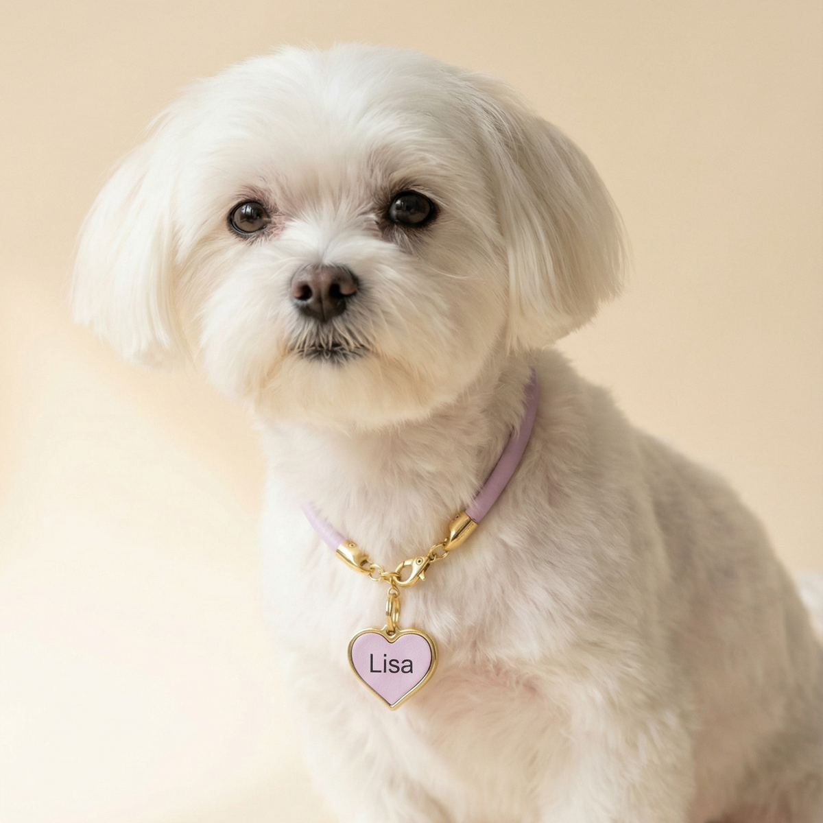 Colar Pet Personalizado em Couro Nobre | Ônix