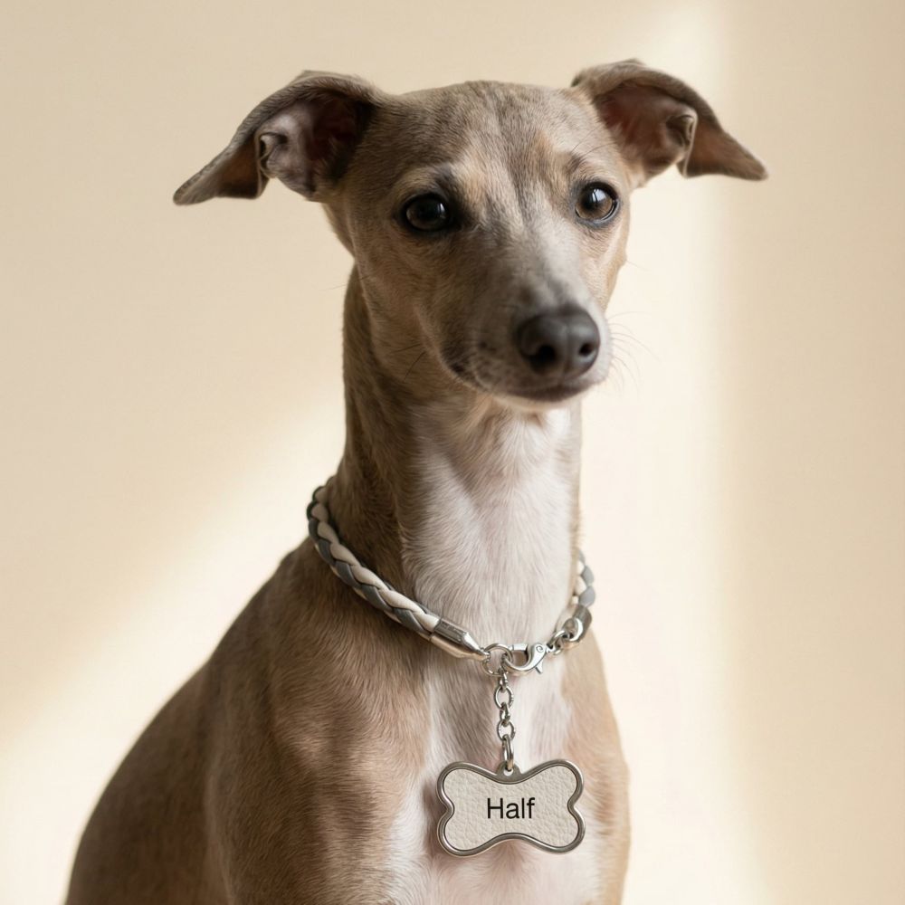 Colar Pet Personalizado em Couro Trançado | Fifi