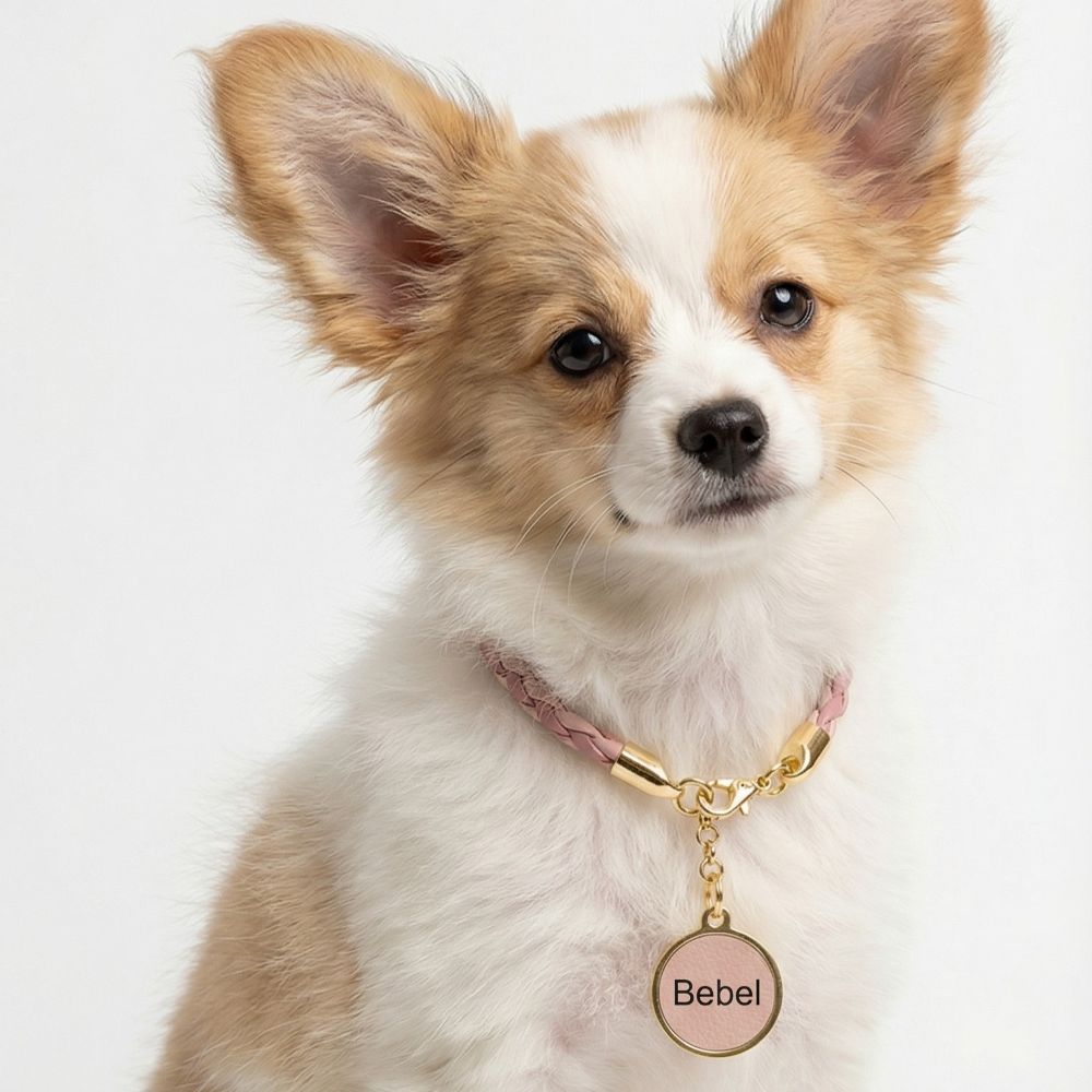 Colar Pet Personalizado em Couro Trançado | Fifi