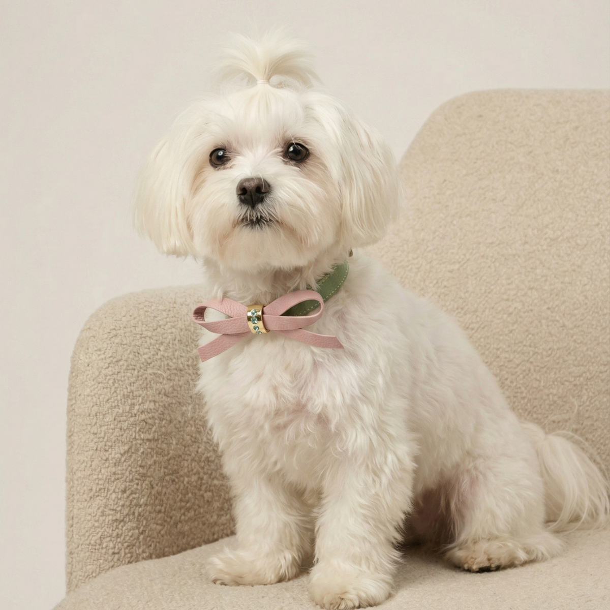 Coleira de Couro para Cachorro com Laço e Strass | Pandora
