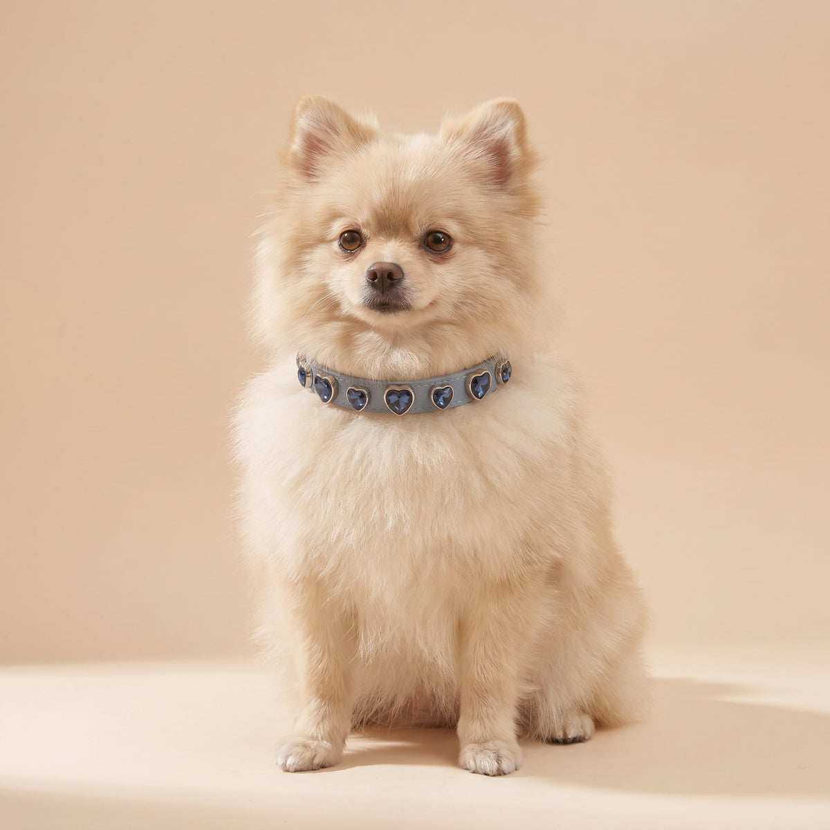 Coleira de Couro para Cachorro com Pedras Coração | Ruby
