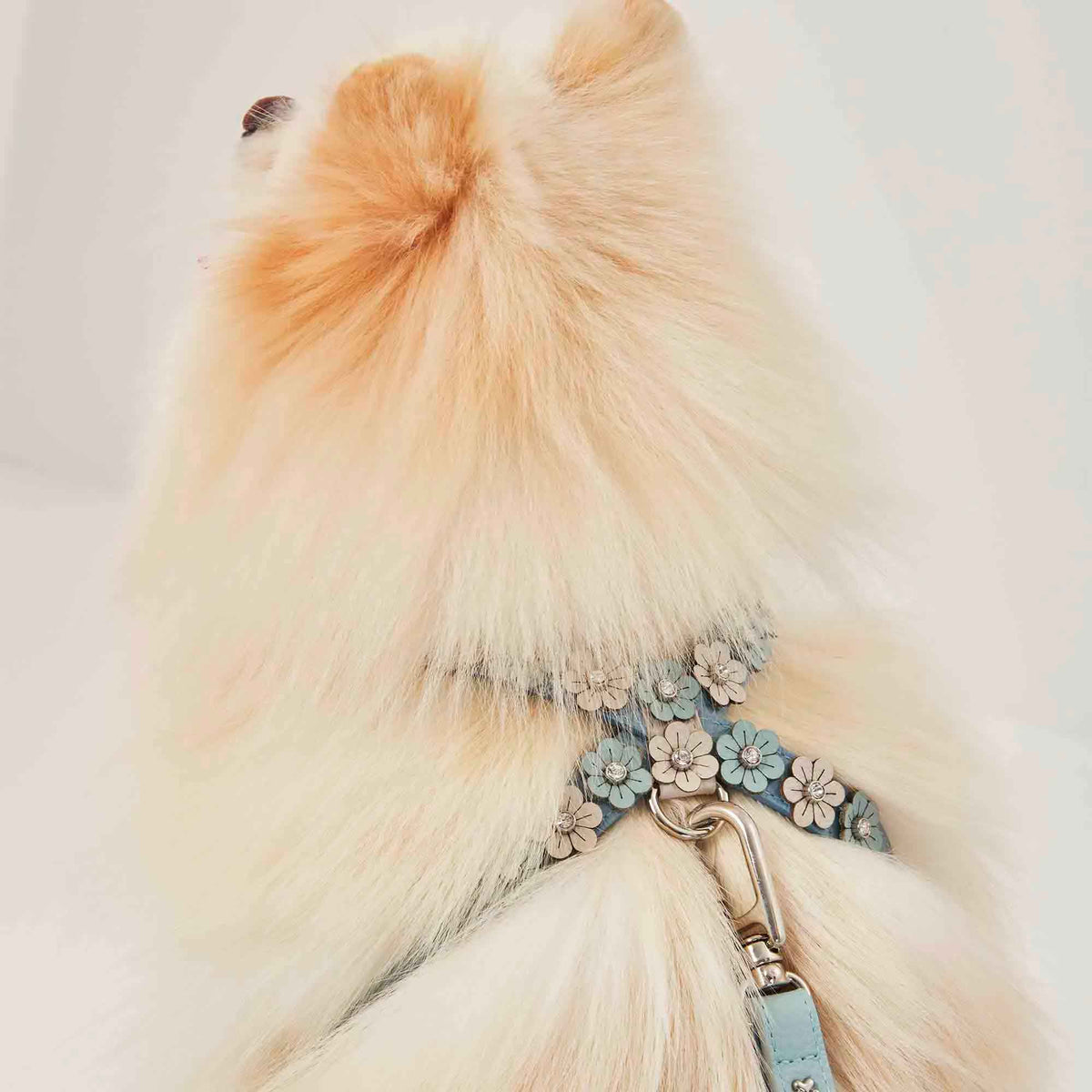 Peitoral de Couro para Cachorro com Flores | Prímula