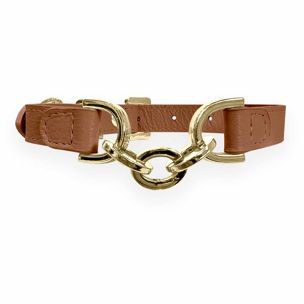 Coleira Personalizada para Cachorro com Corrente | Julie