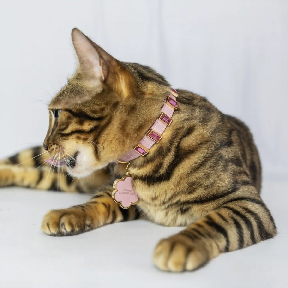 Coleira para Gato em Couro com Strass Retangular | Ivy