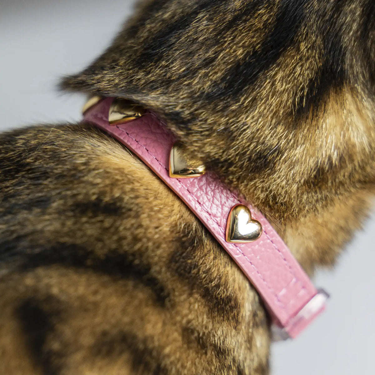 Coleira para Gato em Couro com Corações | Stella