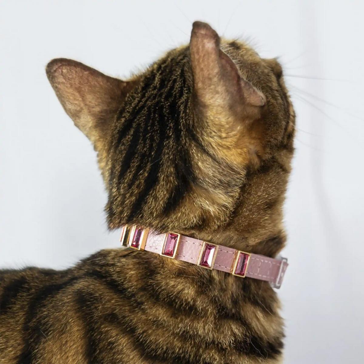 Coleira para Gato em Couro com Strass Retangular | Ivy