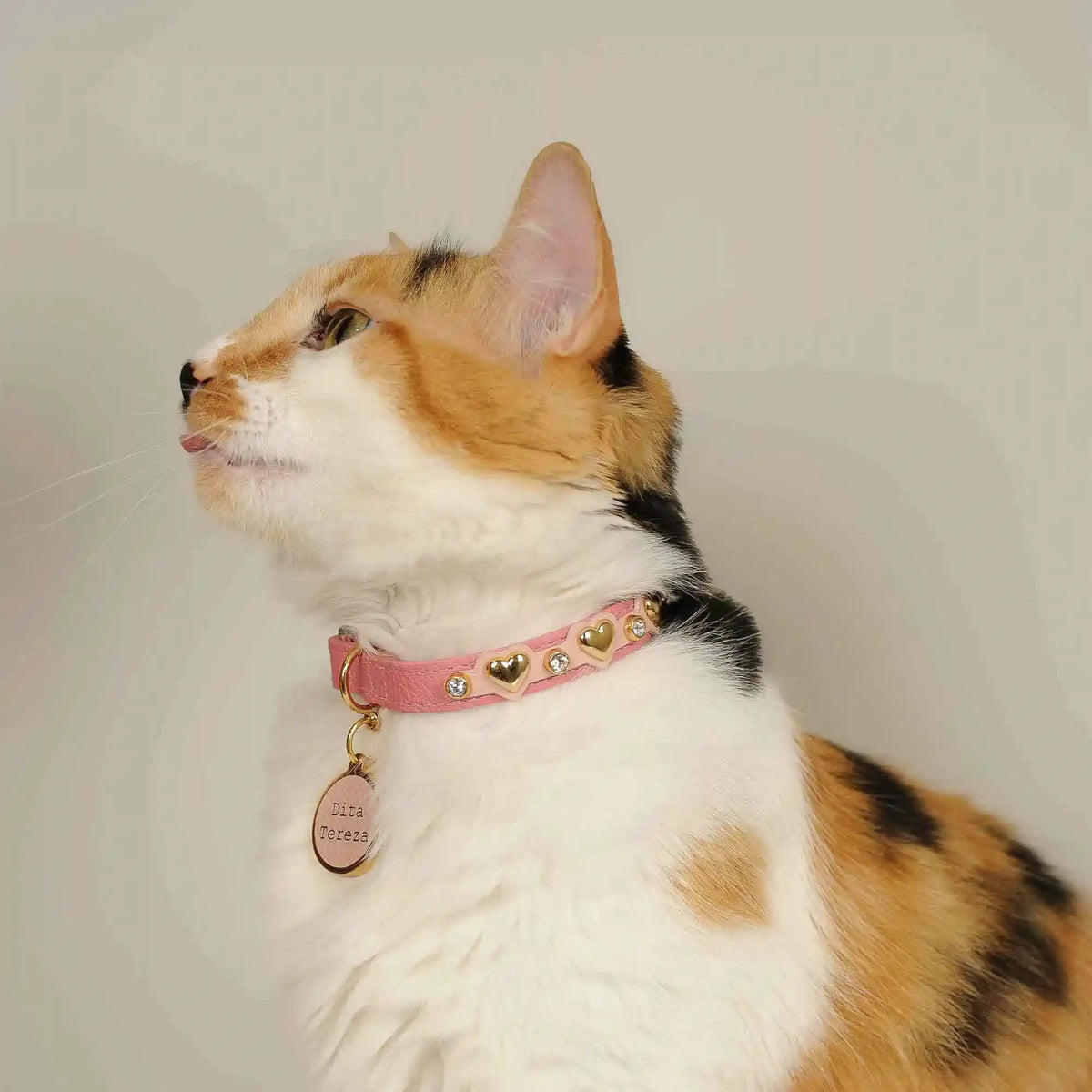 Coleira para Gato em Couro com Corações e Strass | Lili