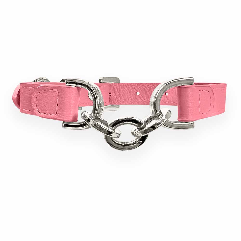 Coleira Personalizada para Cachorro com Corrente | Julie