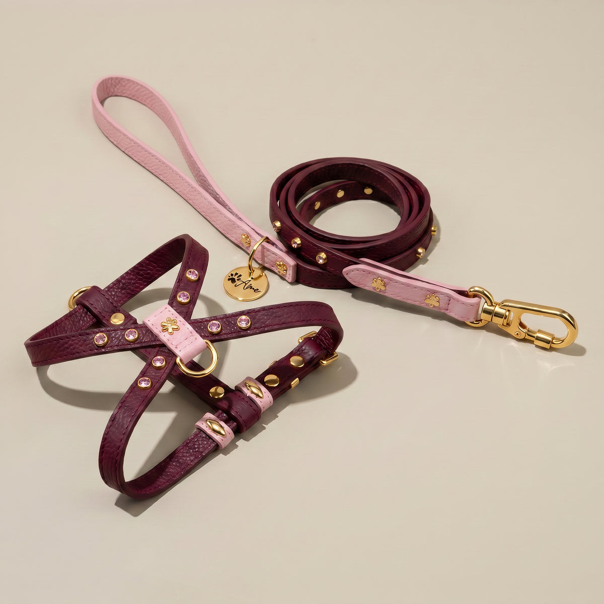 Kit Peitoral e Guia de Couro com Strass | Meg