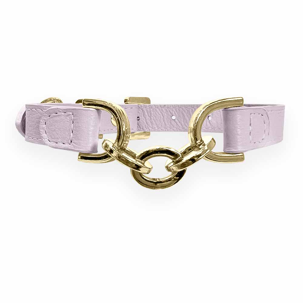 Coleira Personalizada para Cachorro com Corrente | Julie