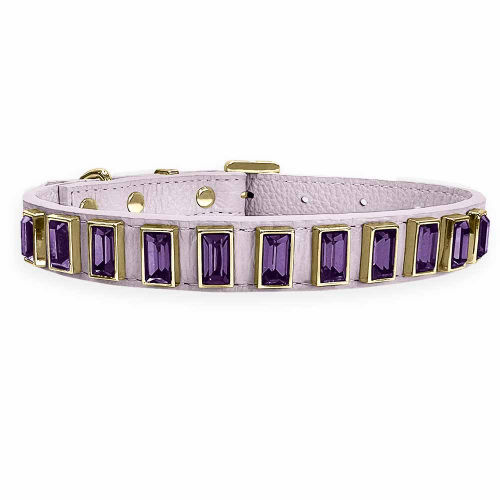 Coleira Personalizada para Cachorro com Strass | Ivy