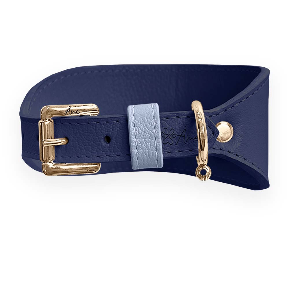 Coleira de Couro para Galgo com Design Anatômico