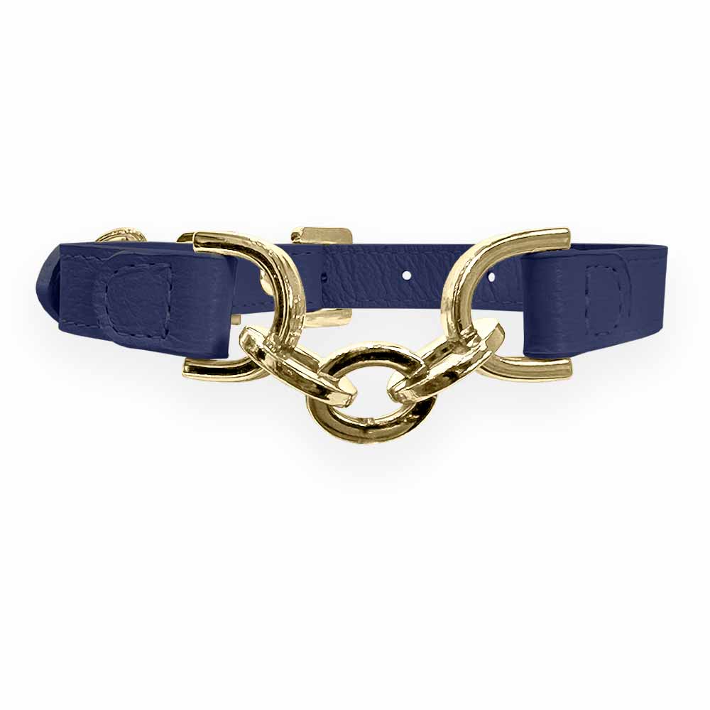 Coleira Personalizada para Cachorro com Corrente | Julie