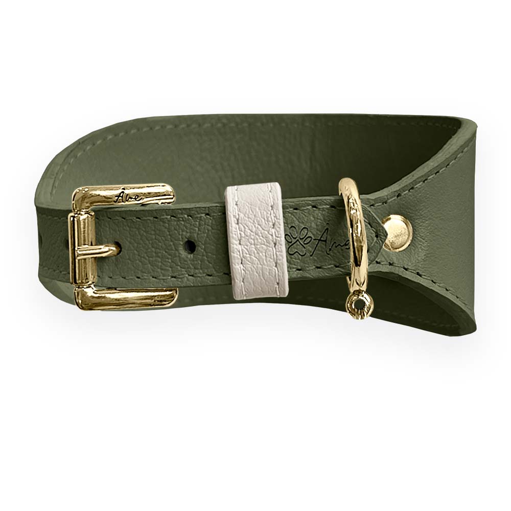 Coleira de Couro para Galgo com Design Anatômico