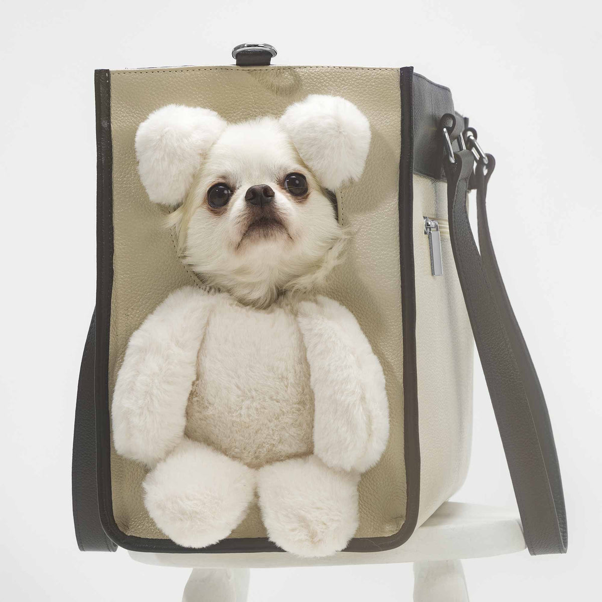 Bolsa de Passeio Pet com Efeito Ursinho | Teddy