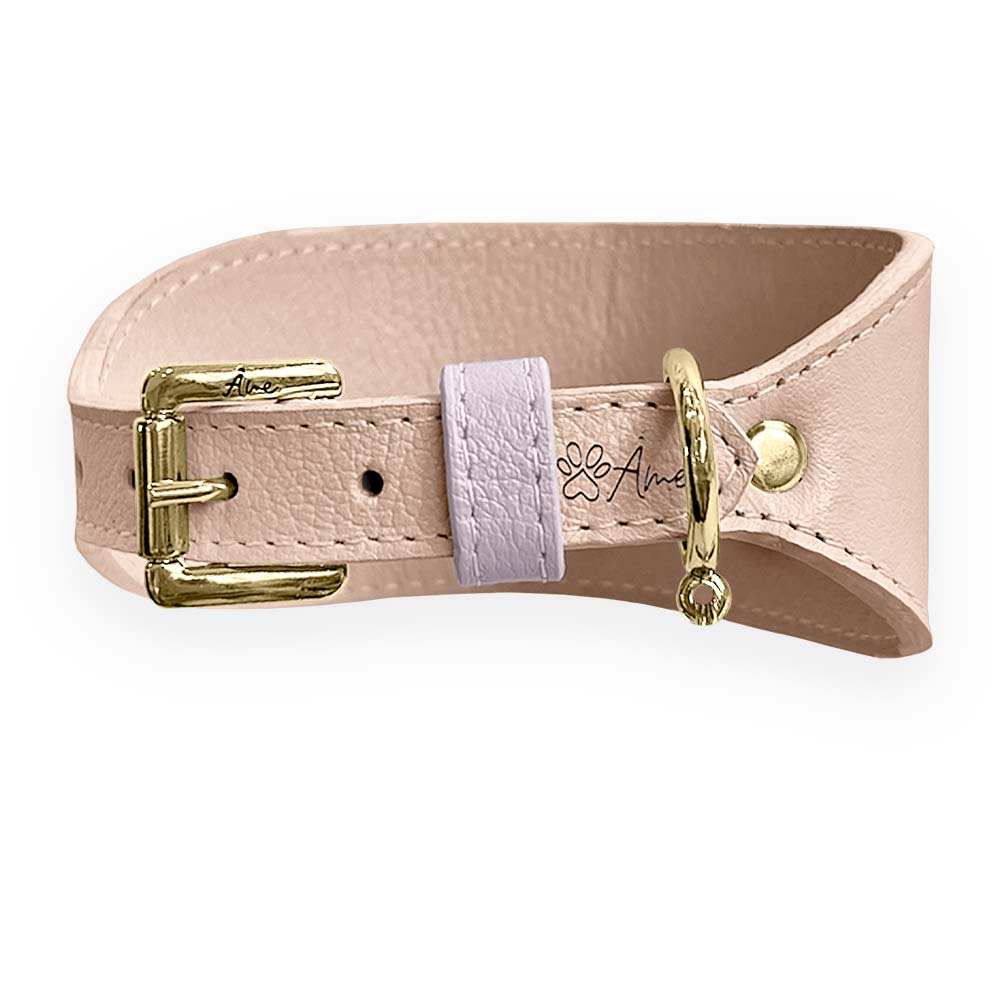 Coleira de Couro para Galgo com Design Anatômico