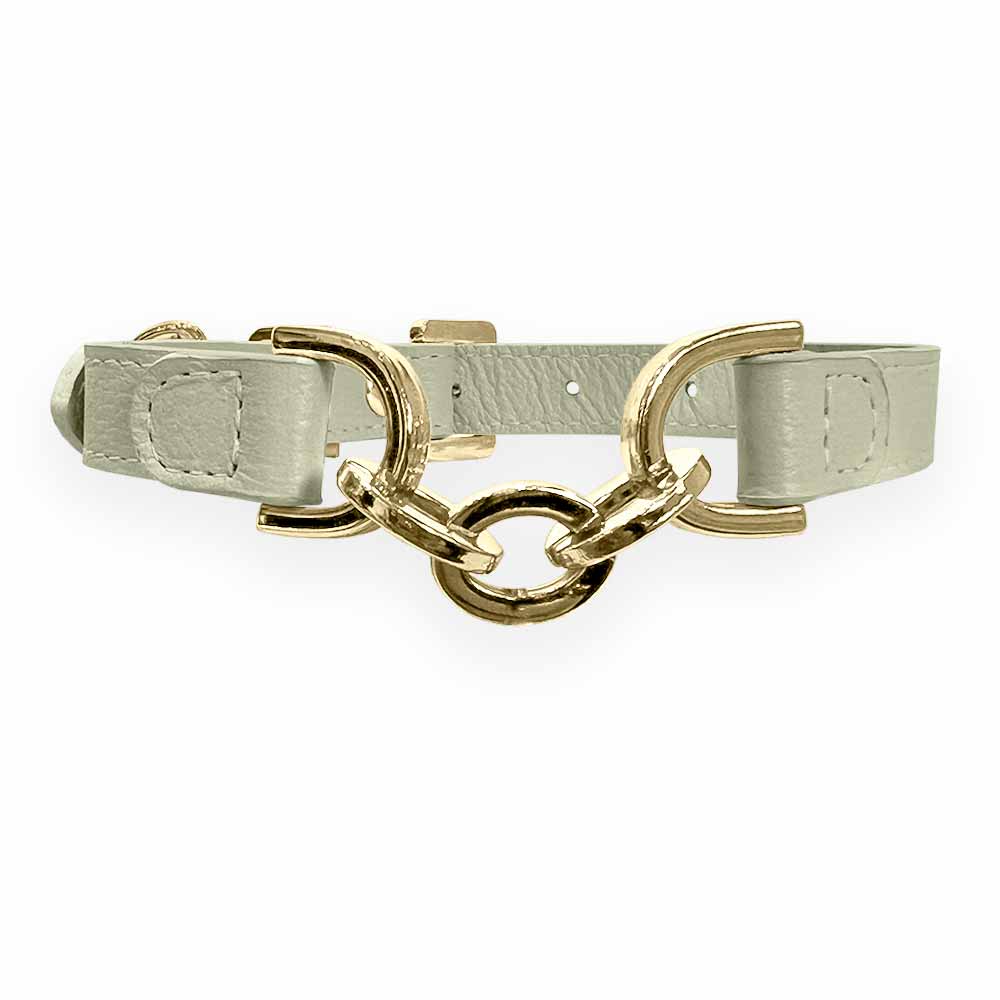 Coleira Personalizada para Cachorro com Corrente | Julie