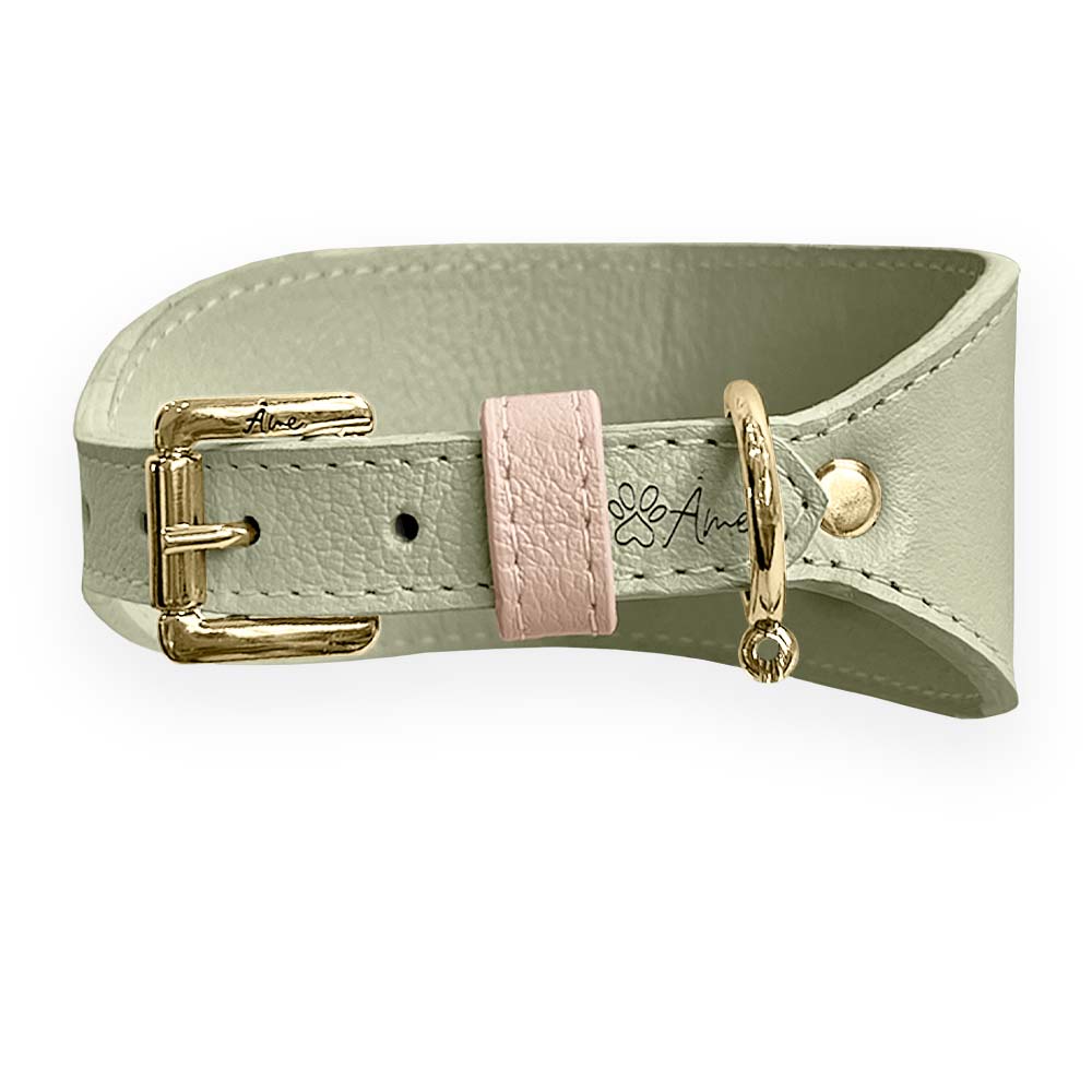 Coleira de Couro para Galgo com Design Anatômico