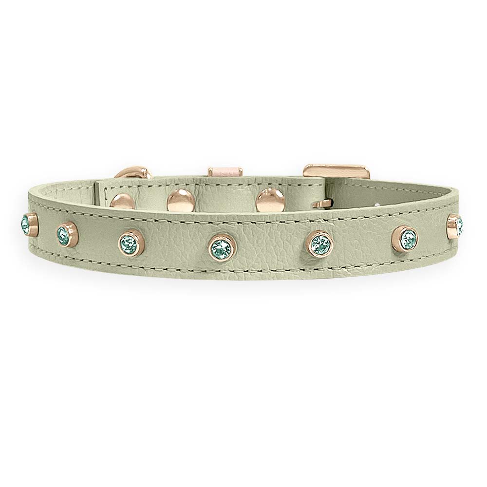 Coleira Personalizada para Cachorro com Strass | Alice