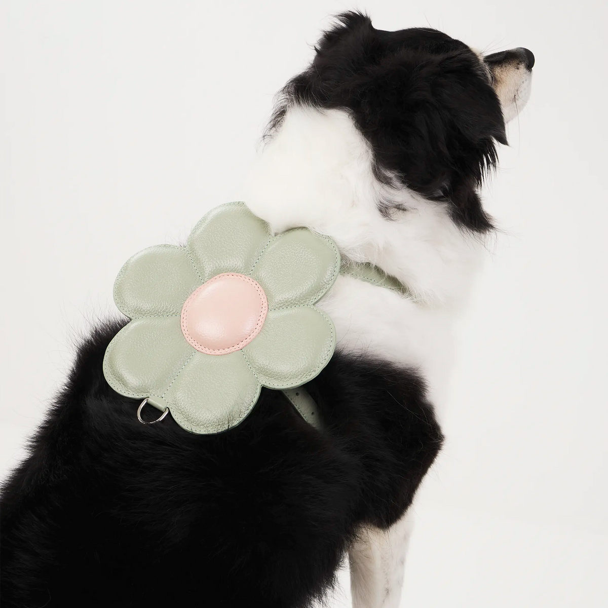 Peitoral de Couro para Cachorro com Flor | Florence
