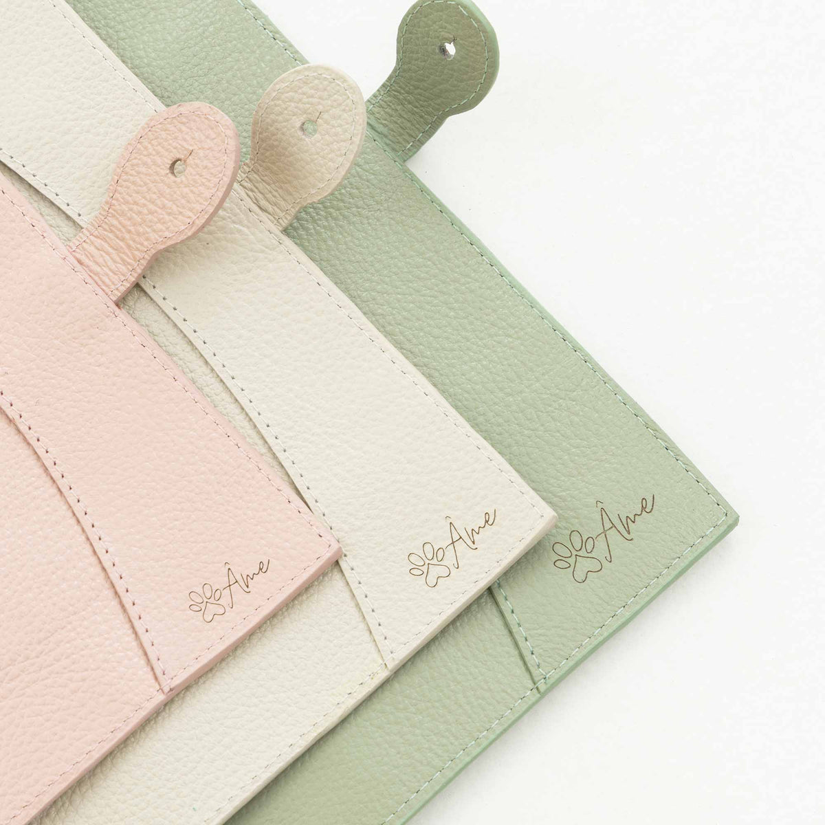 Porta Carteira de Vacinação Pet Personalizado em Couro - Allure com Off White