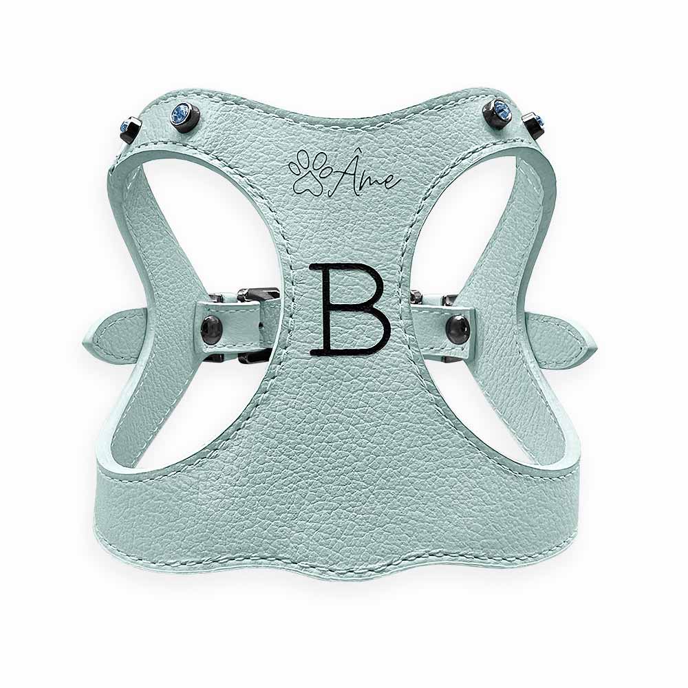 Peitoral de Couro para Cachorro Personalizado | Brownie