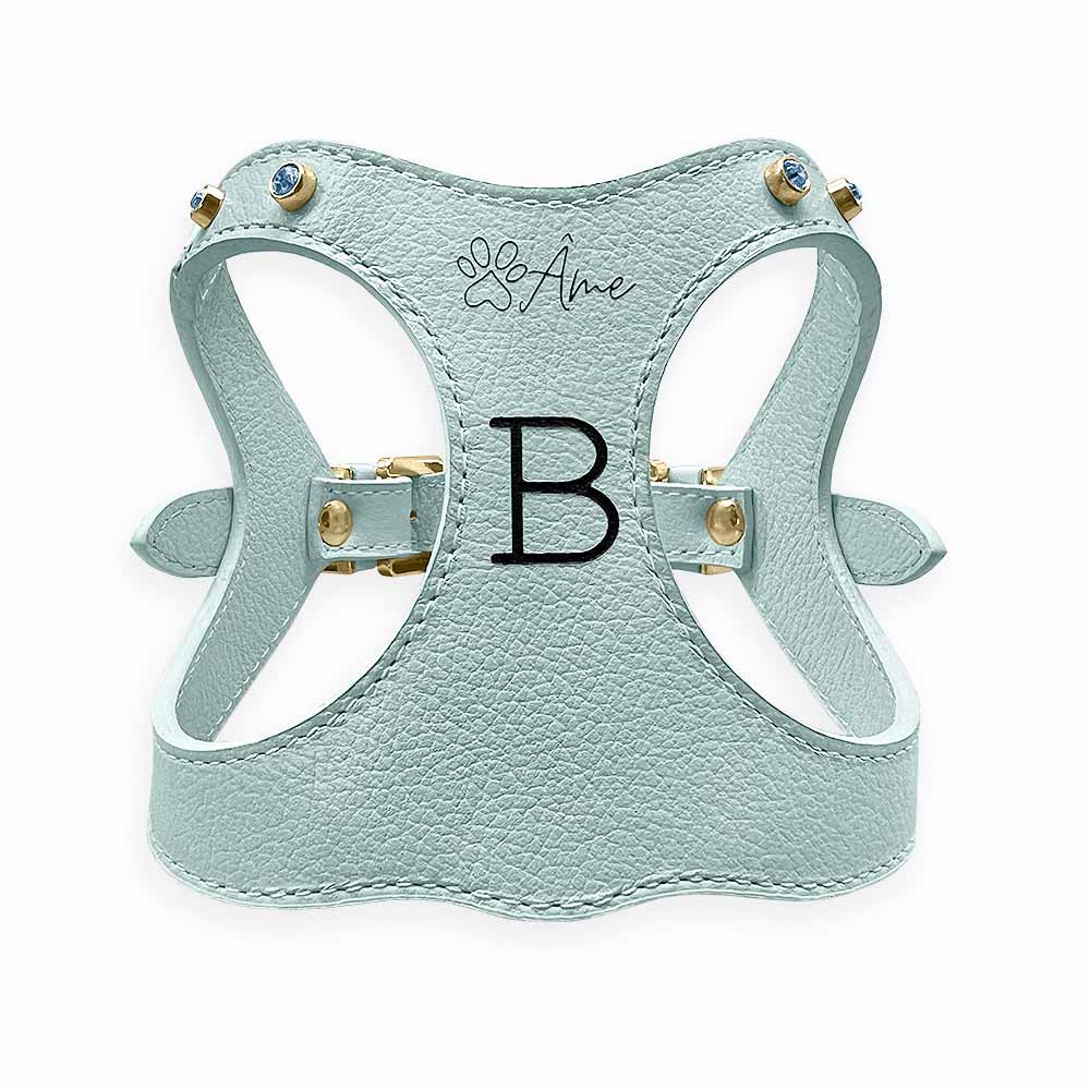 Peitoral de Couro para Cachorro Personalizado | Brownie