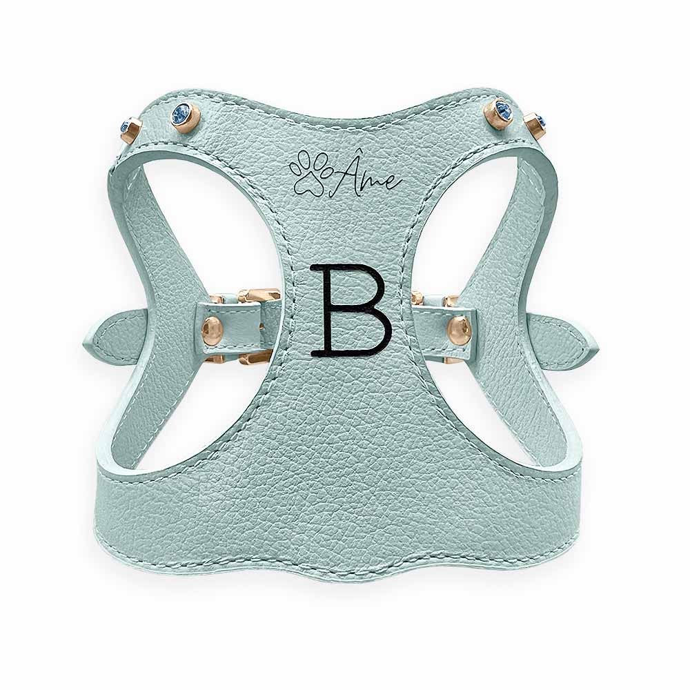 Peitoral de Couro para Cachorro Personalizado | Brownie