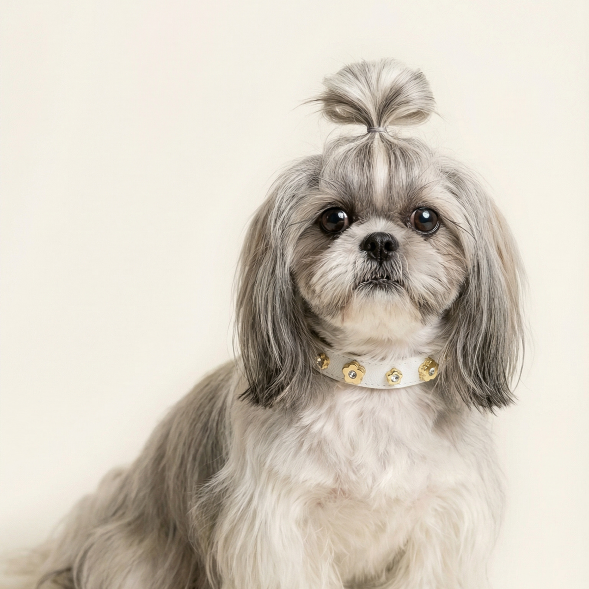 Coleira Personalizada para Cachorro com Flor | Kylie