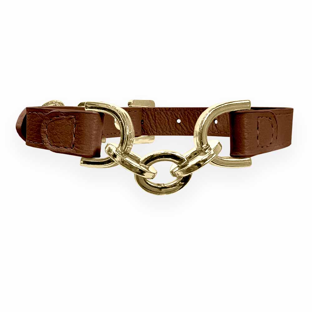Coleira Personalizada para Cachorro com Corrente | Julie