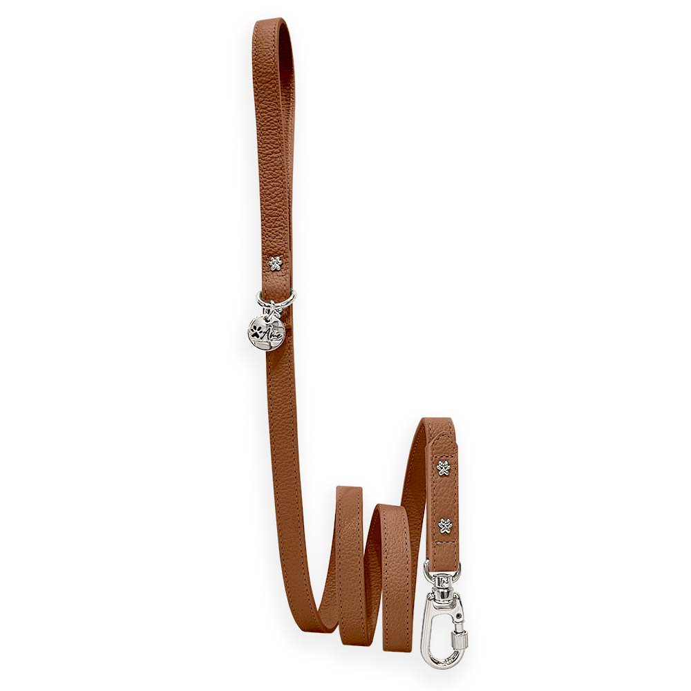Guia de Couro para Cachorro | Atena