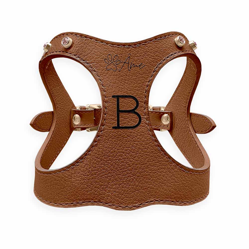 Peitoral de Couro para Cachorro Personalizado | Brownie