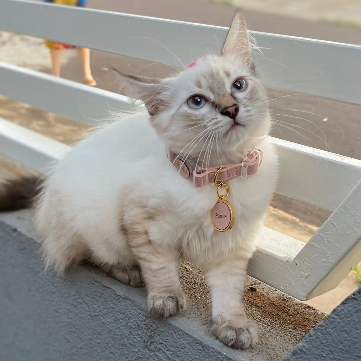 Coleira para Gato em Couro com Fecho Anti-Pânico | Luna