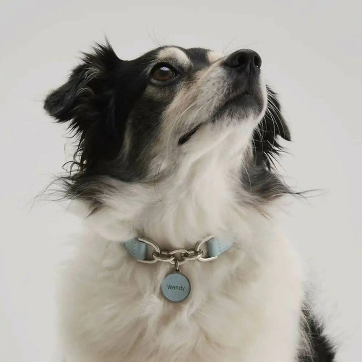 Coleira Personalizada para Cachorro com Corrente | Julie