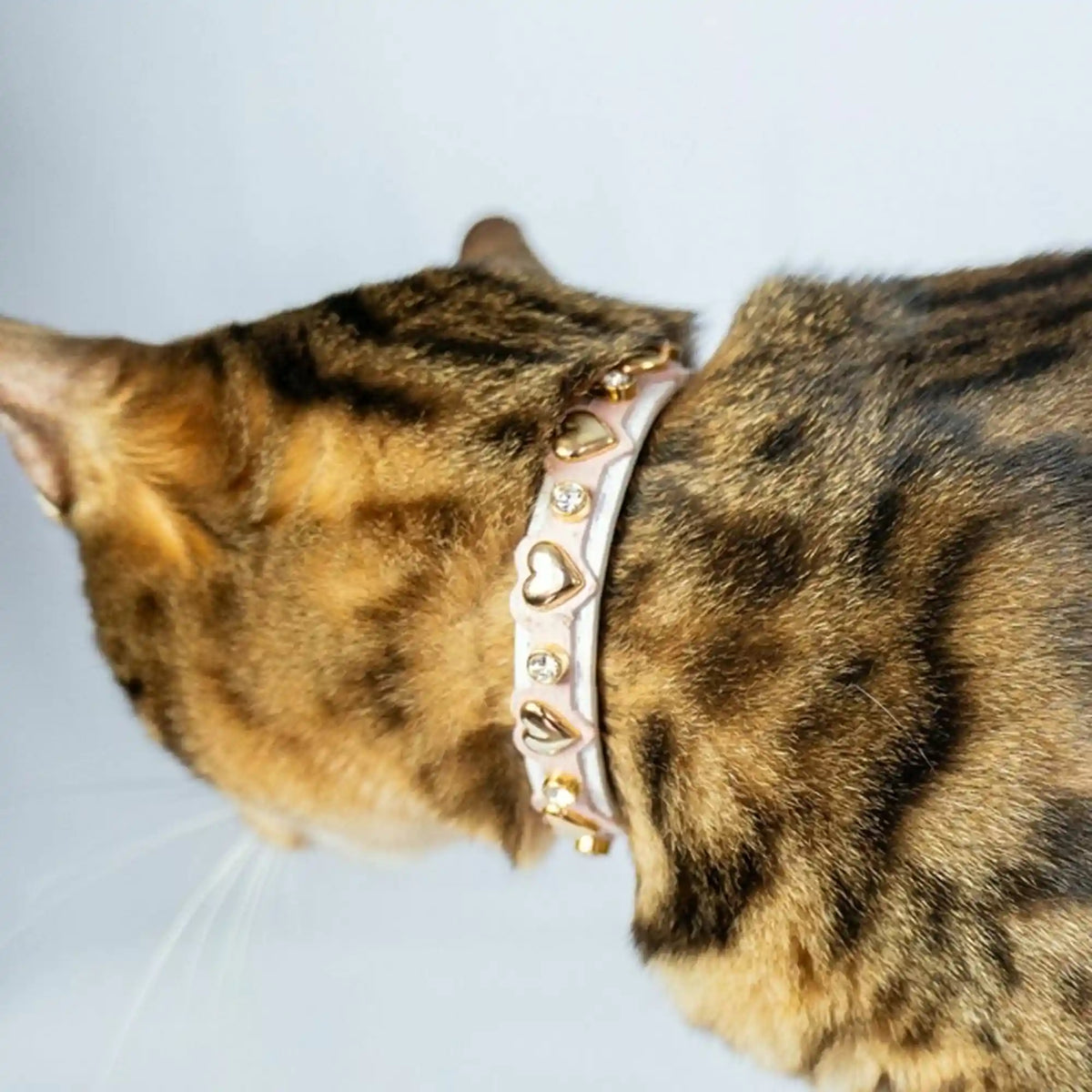 Coleira para Gato em Couro com Corações e Strass | Lili