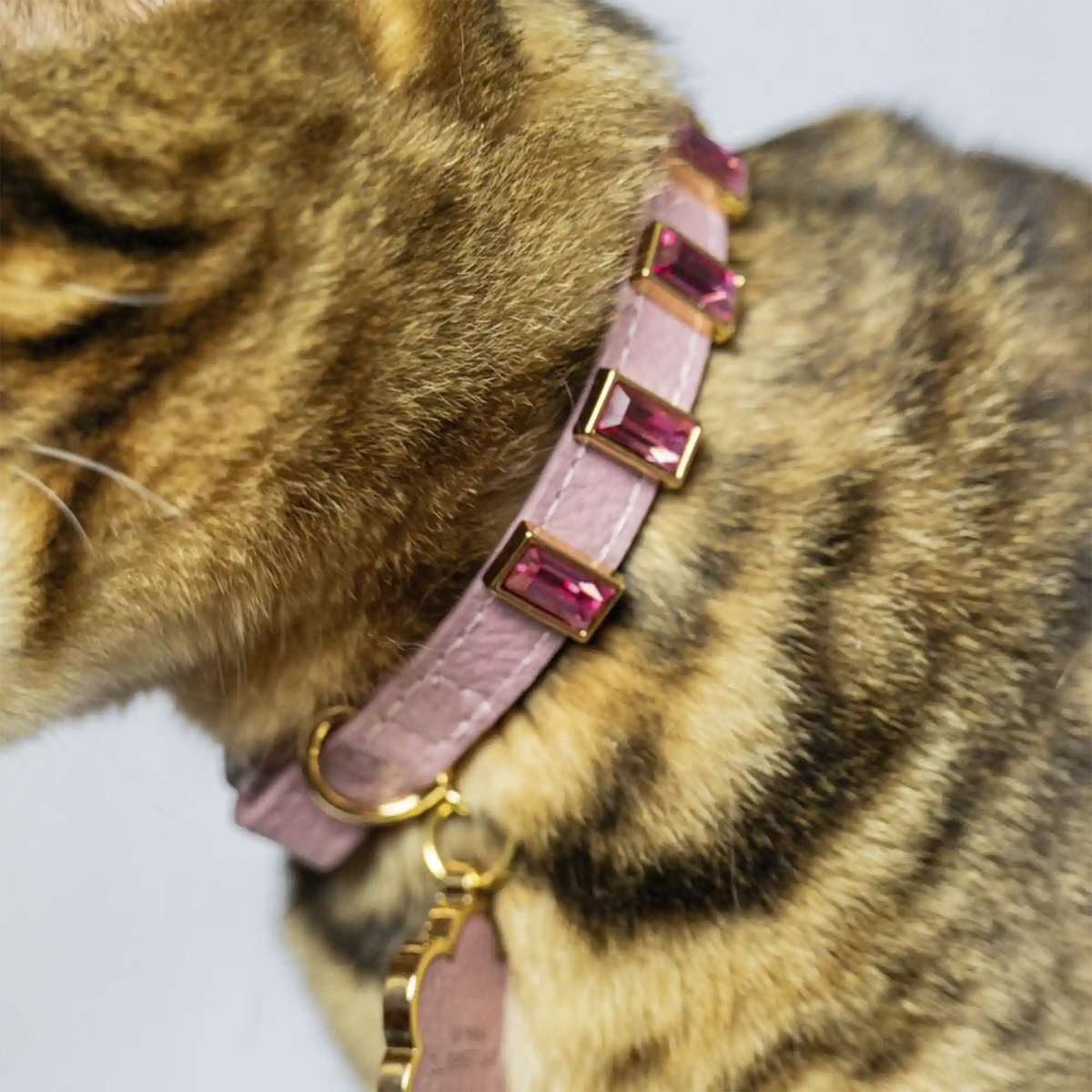 Coleira para Gato em Couro com Strass Retangular | Ivy