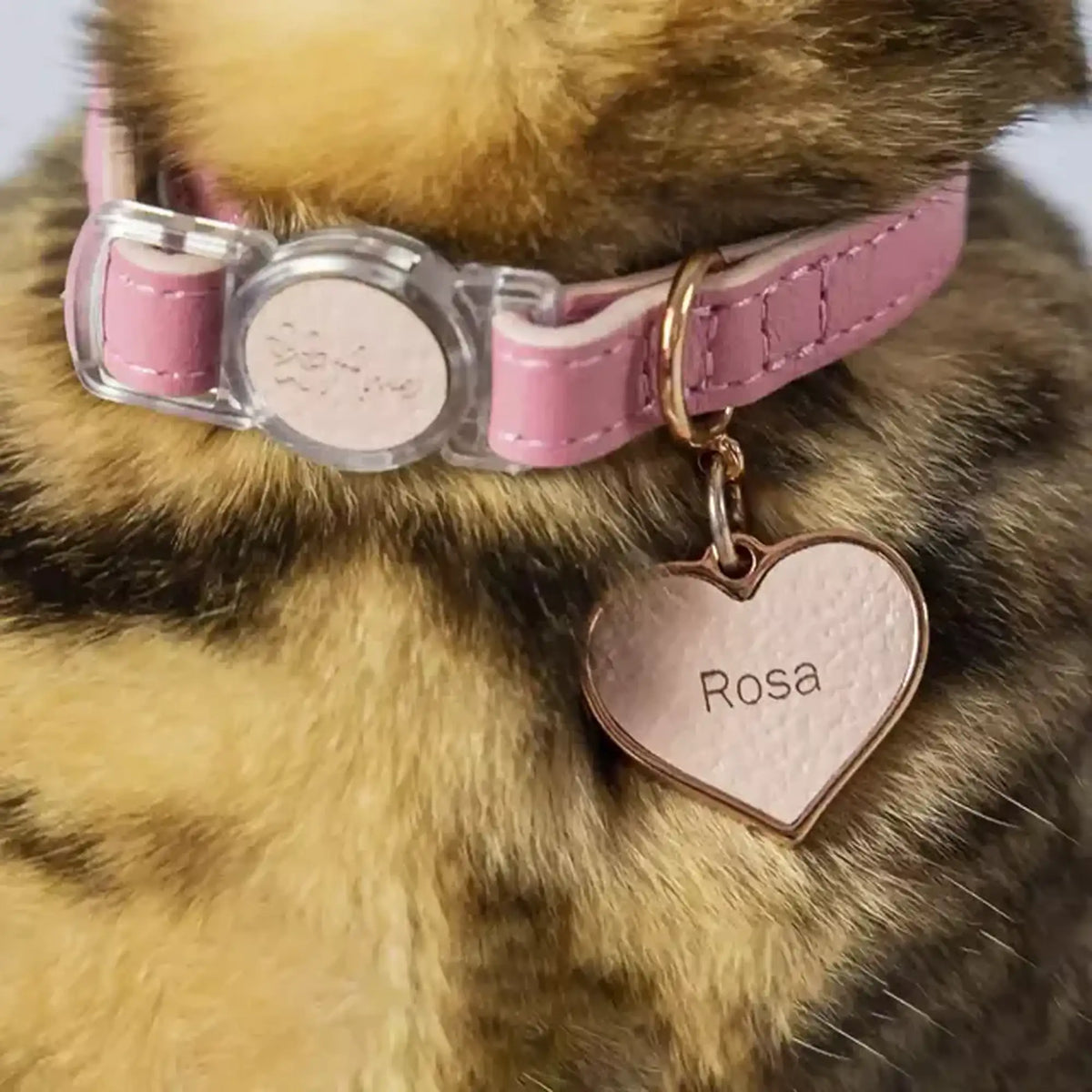 Coleira para Gato em Couro com Fecho Anti-Pânico | Luna