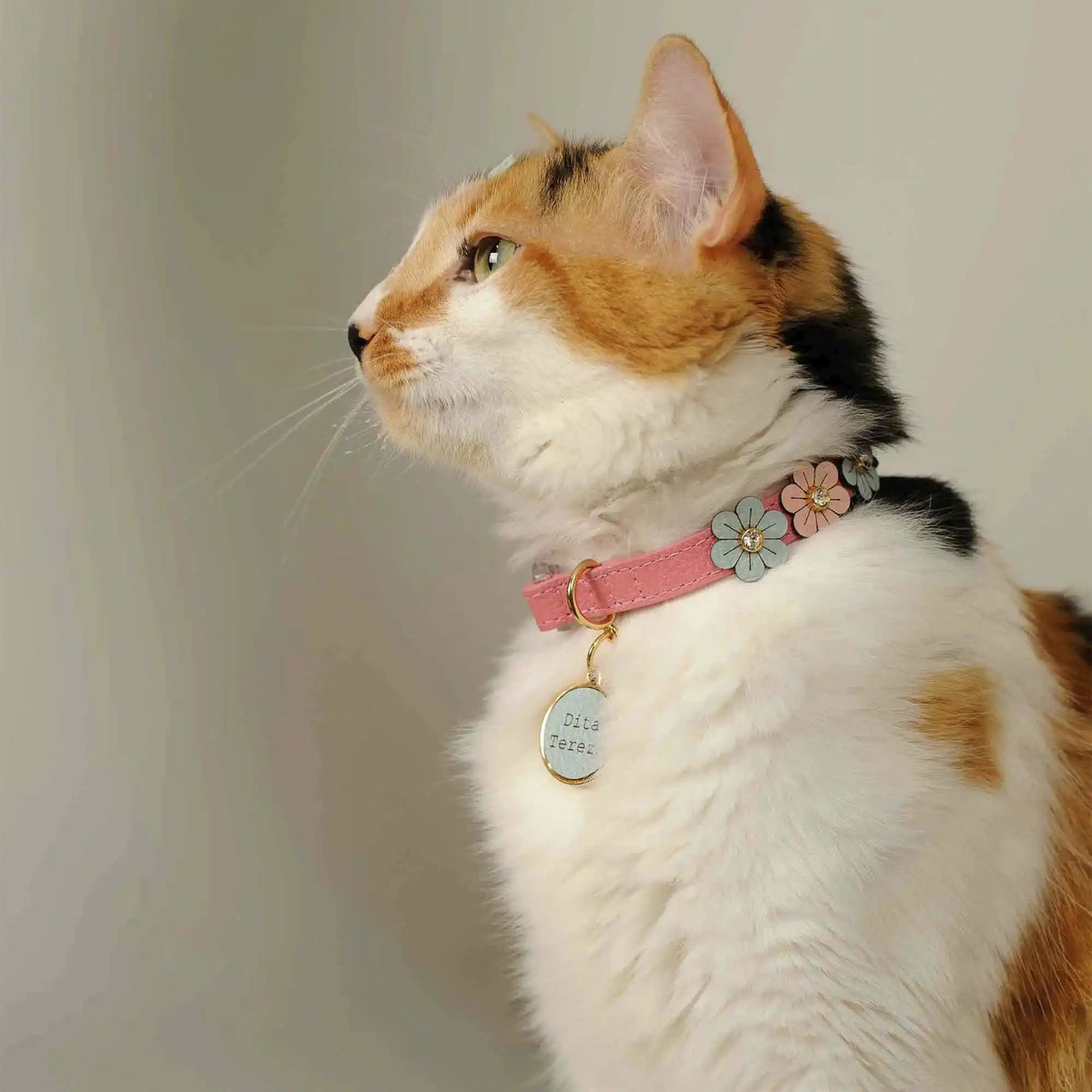 Coleira para Gato em Couro com Flores | Prímula