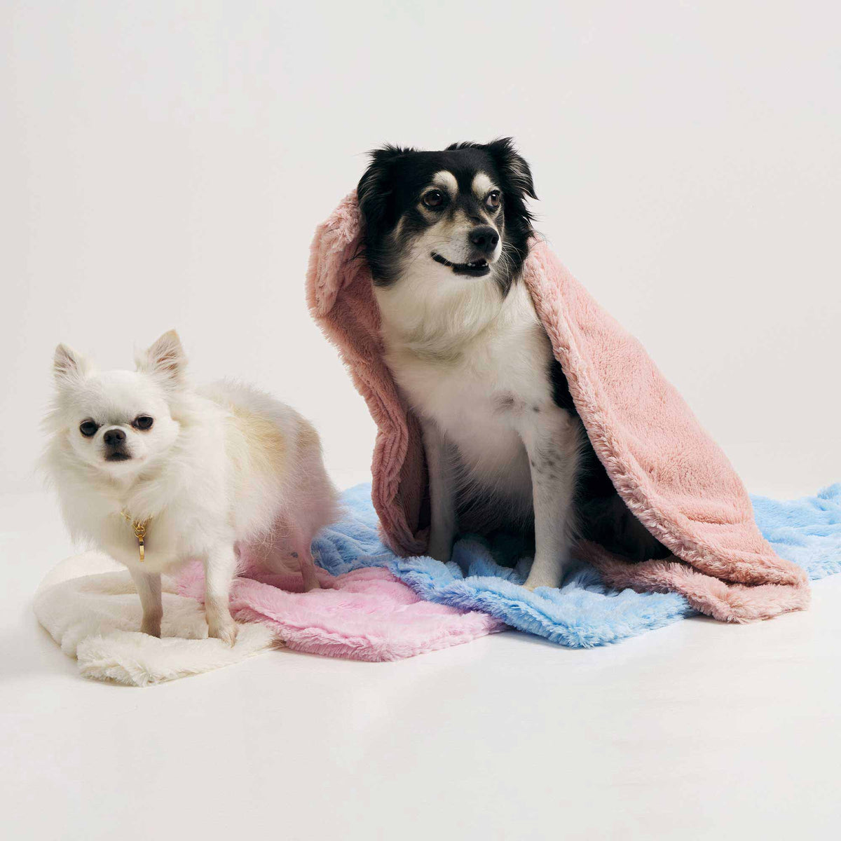 Manta Térmica para Pets Antialérgica | Super Macia