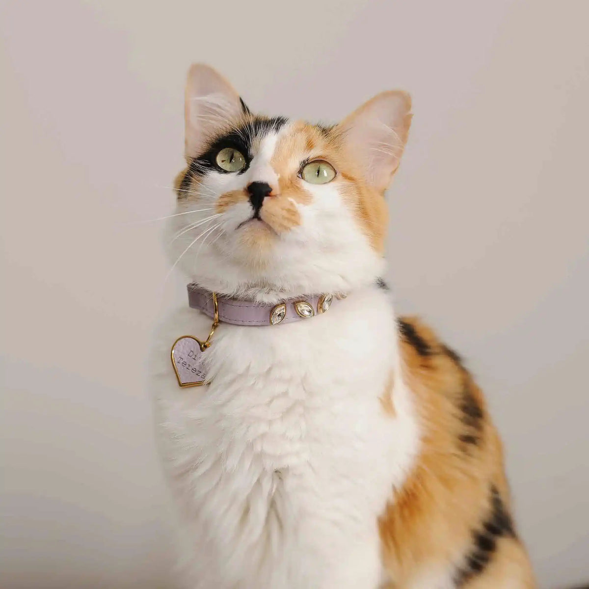 Coleira de couro para gatos Vitória
