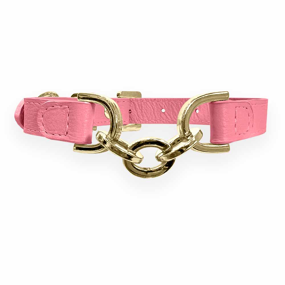 Coleira Personalizada para Cachorro com Corrente | Julie