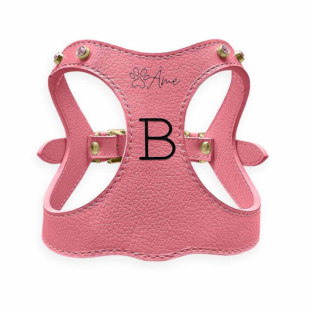 Peitoral de Couro para Cachorro Personalizado | Brownie