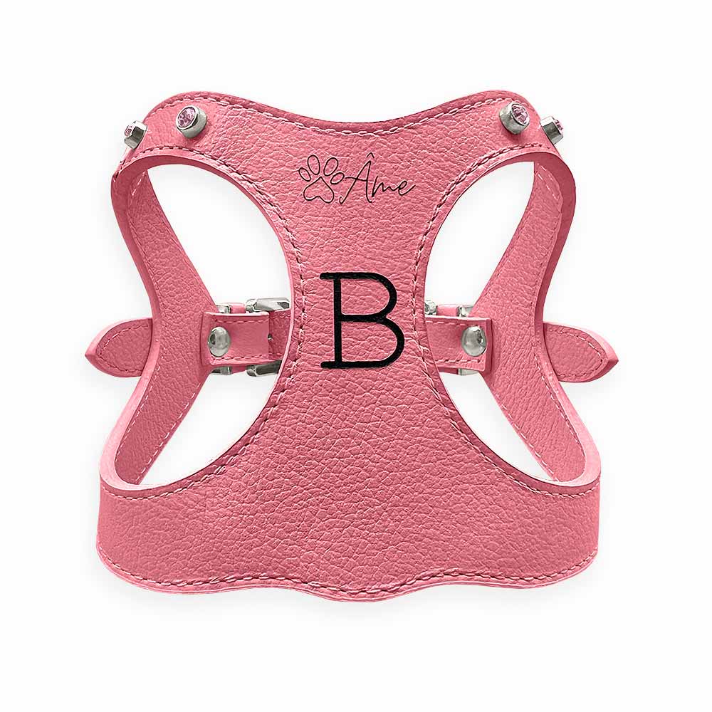 Peitoral de Couro para Cachorro Personalizado | Brownie