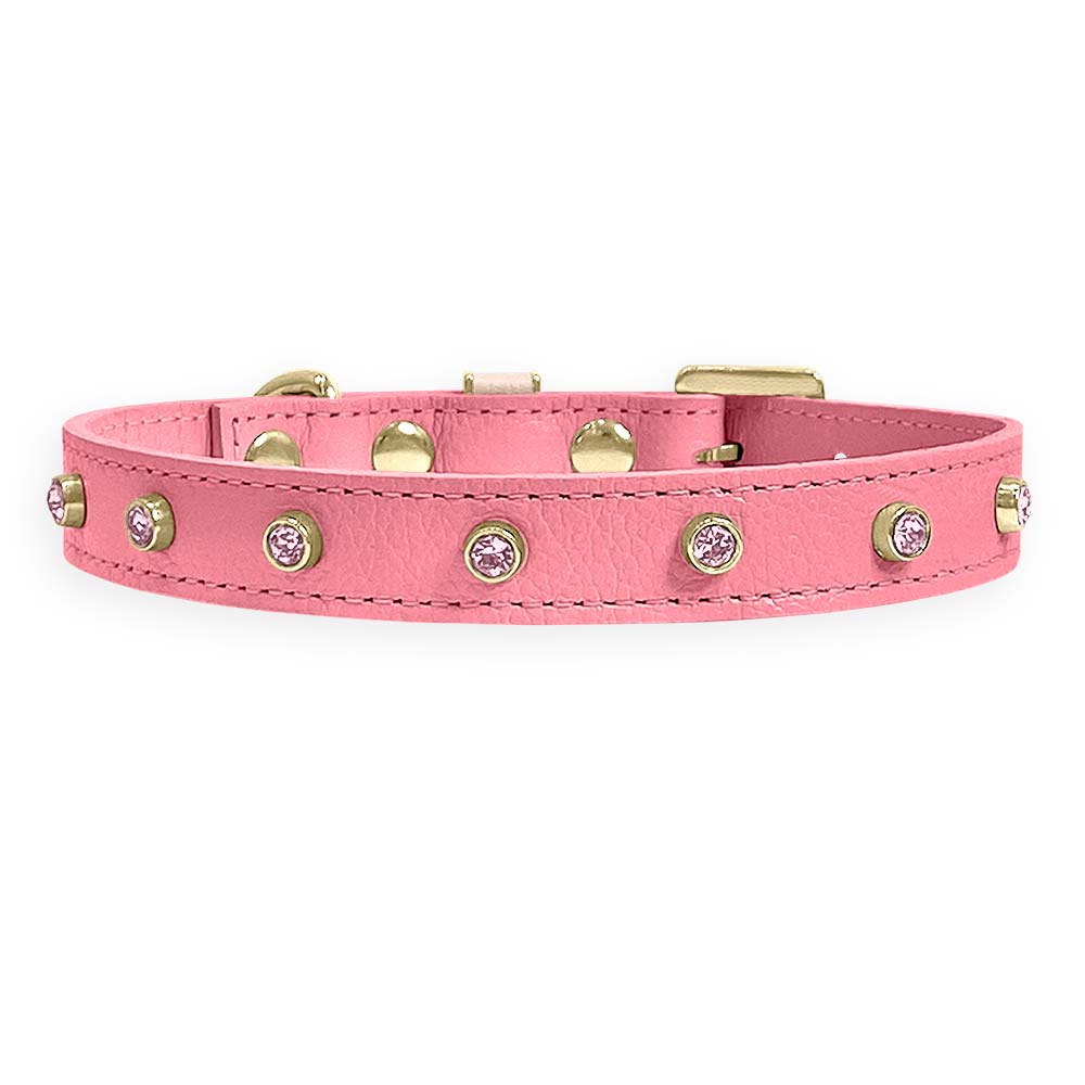 Coleira Personalizada para Cachorro com Strass | Alice