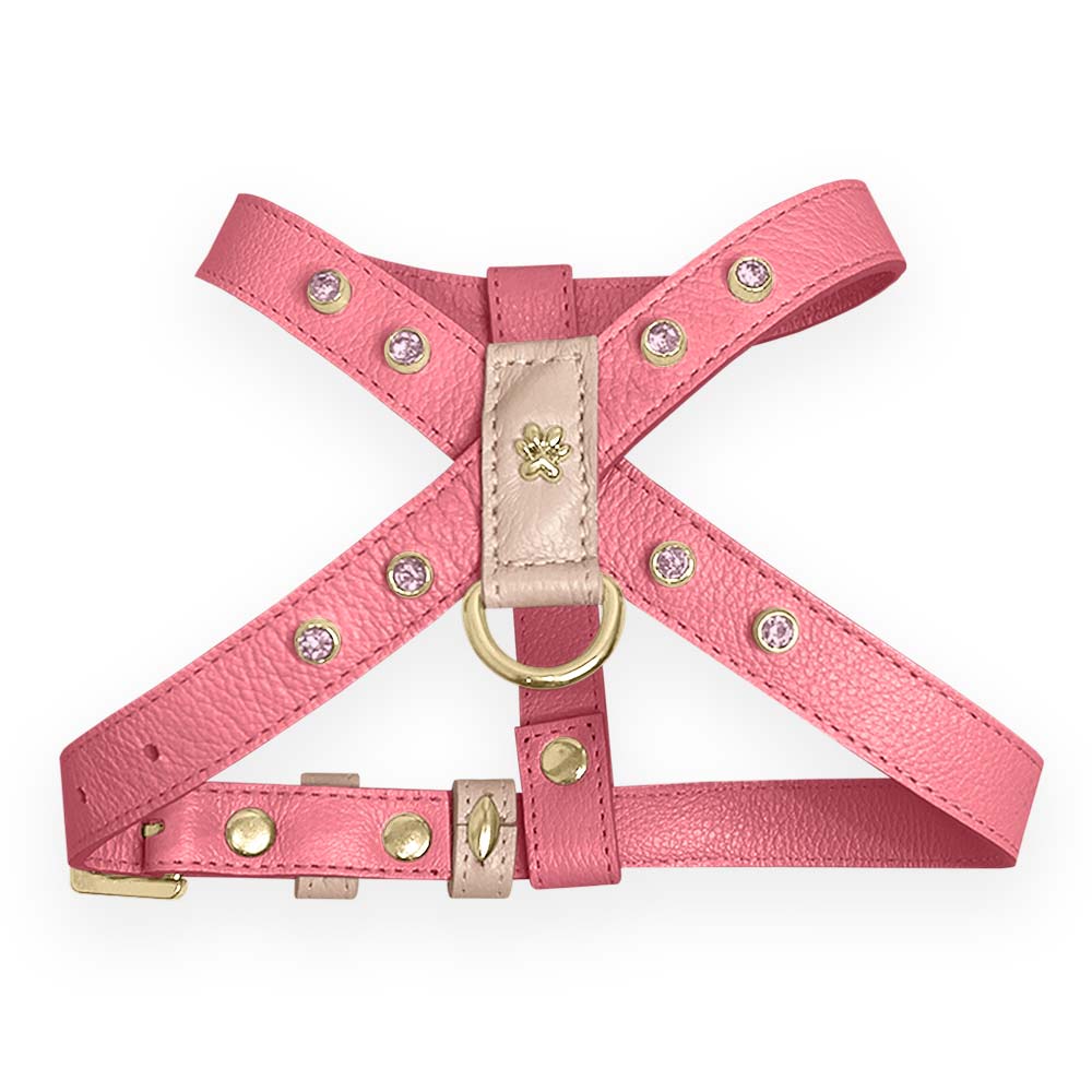 Peitoral de Couro para Cachorro com Strass | Meg