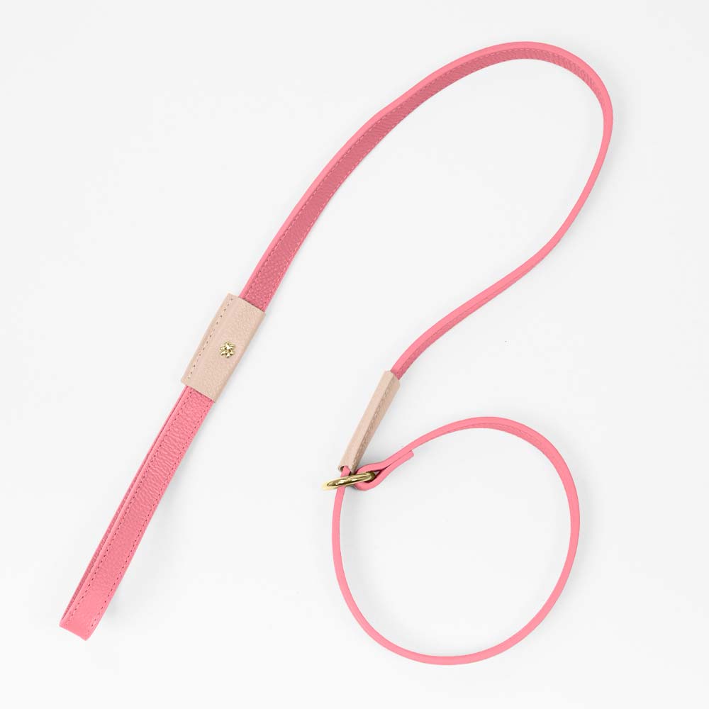 Guia Unificada de Couro para Cachorro | Coleira e Guia